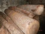 Quercia - Tronchi
