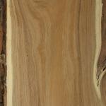 Acacia - Legname