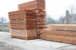 Abete rosso Segati da costruzione | Legno tenero | Legname | MP-HOLZ, s.r.o.