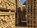 Legna da fuoco Betulla | Combustibile, bricchette | Coni alnus