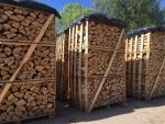 Legna da fuoco Betulla | Combustibile, bricchette | Coni alnus