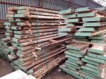 Quercia &nbsp; |  Legno duro | Legname | Adam