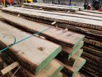 Quercia &nbsp; |  Legno duro | Legname | Adam
