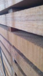 Teak Segati da costruzione |  Piante tropicali | Legname | JSC Aksta