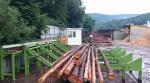 Altra attrezzatura Třídící a Kapovací linka KS-1 | Attrezzi di segheria | Macchinari per la lavorazione del legno | Drekos Made s.r.o