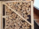 Legna da fuoco - Combustibile, bricchette