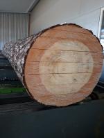 Abete rosso Segati da costruzione | Legno tenero | Legname | Drevoslužby Nandraž