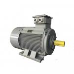 Altra attrezzatura Elektromotor, frekvenčný menič |  Manutenzione macchine e attrezzi | Macchinari per la lavorazione del legno | MTM Electric Motors s.r.o.
