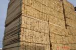 Abete rosso Legname segato su pallet |  Legno tenero | Legname | Colorspol