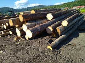 Abete rosso Tondo da segare | Legno tenero | Tronchi | Peter Haladej