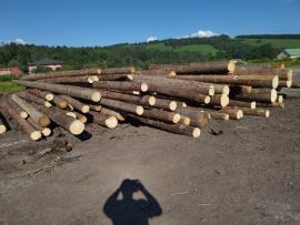 Abete rosso Tondo da segare | Legno tenero | Tronchi | Peter Haladej