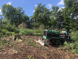 Operaio forestale - Lavoro