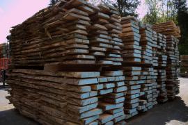 Acacia Segati da costruzione | Legno duro | Legname | Wander Czech s.r.o.