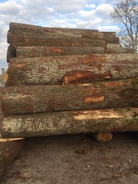 Quercia Tondo da impiallaccio | Legno duro | Tronchi | D&C SNEGL