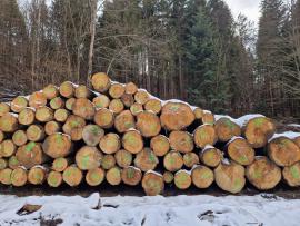 Abete Tondo da segare | Legno tenero | Tronchi | ALBA Forrest s.r.o.