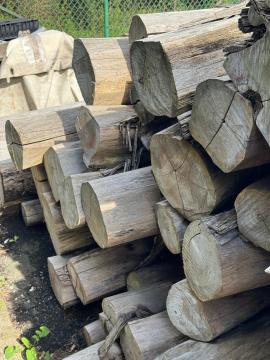 Teak Tondo da segare |  Piante tropicali | Tronchi | SOFT IT SP .ZO.O SPÓŁKA Z OGRANICZONĄ ODPO