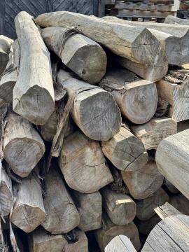 Teak Tondo da segare |  Piante tropicali | Tronchi | SOFT IT SP .ZO.O SPÓŁKA Z OGRANICZONĄ ODPO