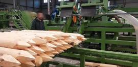 Altra attrezzatura Kompletn výroní Linka kulů . | Attrezzi di segheria | Macchinari per la lavorazione del legno | Drekos Made s.r.o
