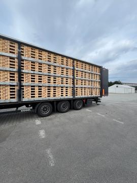 Bancali Bancali a perdere | Imballaggi, bancali | Woodproo s.r.o.