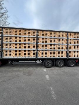 Bancali Bancali a perdere | Imballaggi, bancali | Woodproo s.r.o.