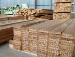 Teak Segati da costruzione | Piante tropicali | Legname | African Timber Wood Co.