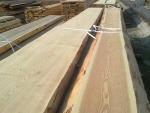 Frassino Segati da costruzione |  Legno duro | Tranciati | FCI
