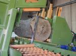 Altra attrezzatura Pásová Linka TP-1510 |  Attrezzi di segheria | Macchinari per la lavorazione del legno | Drekos Made s.r.o