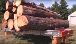 Altra attrezzatura Pásová pila Mobilní HD-36 |  Attrezzi di segheria | Macchinari per la lavorazione del legno | Drekos Made s.r.o