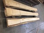 Tiglio Segati da falegnameria |  Legno duro | Tranciati | JAF HOLZ Slovakia