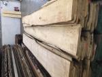Tiglio Segati da falegnameria |  Legno duro | Tranciati | JAF HOLZ Slovakia