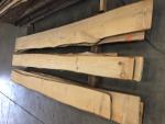 Tiglio Segati da falegnameria |  Legno duro | Tranciati | JAF HOLZ Slovakia