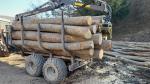 Faggio Materia fibrosa |  Legno duro | Tondo | MMLES s.r.o.