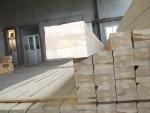 Abete rosso Tranciati agglutinati |  Legno tenero | Tranciati | GOD