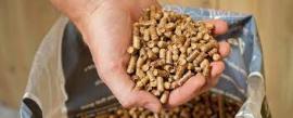 Pellet Pino |  Combustibile, bricchette | SCOPULUS Handels-und Dienstleistungs GmbH 