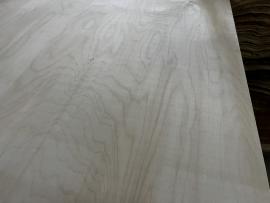Piallaccio Resistente all'acqua |  Materiali di grande superficie | Forestree