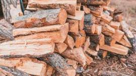 Legna da fuoco Pino |  Combustibile, bricchette | SCOPULUS Handels-und Dienstleistungs GmbH 
