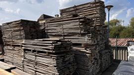 Teak Segati da falegnameria |  Piante tropicali | Tranciati | SOFT IT SP .ZO.O SPÓŁKA Z OGRANICZONĄ ODPO