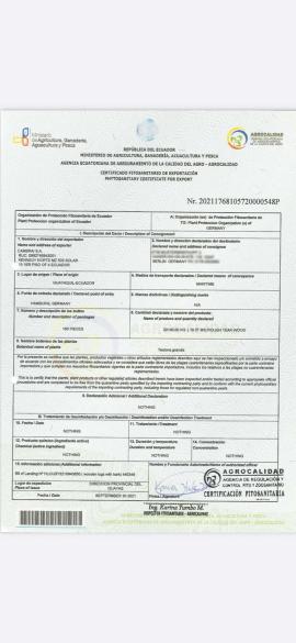 Teak Segati da falegnameria |  Piante tropicali | Tranciati | SOFT IT SP .ZO.O SPÓŁKA Z OGRANICZONĄ ODPO
