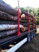 Pioppo Tondo da impiallaccio |  Legno duro | Tondo | Pristaš