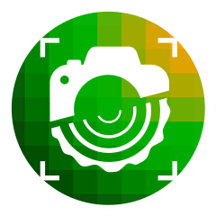 Applicazione mobile
