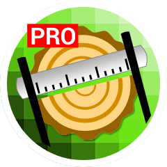 Applicazione mobile